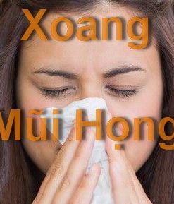 Viêm Xoang, Viêm Mũi Họng, Ho