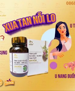 Tinh chất ích mẫu xạ đen tam thất an hòa